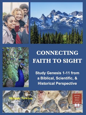 cover image of Connecting Faith to Sight